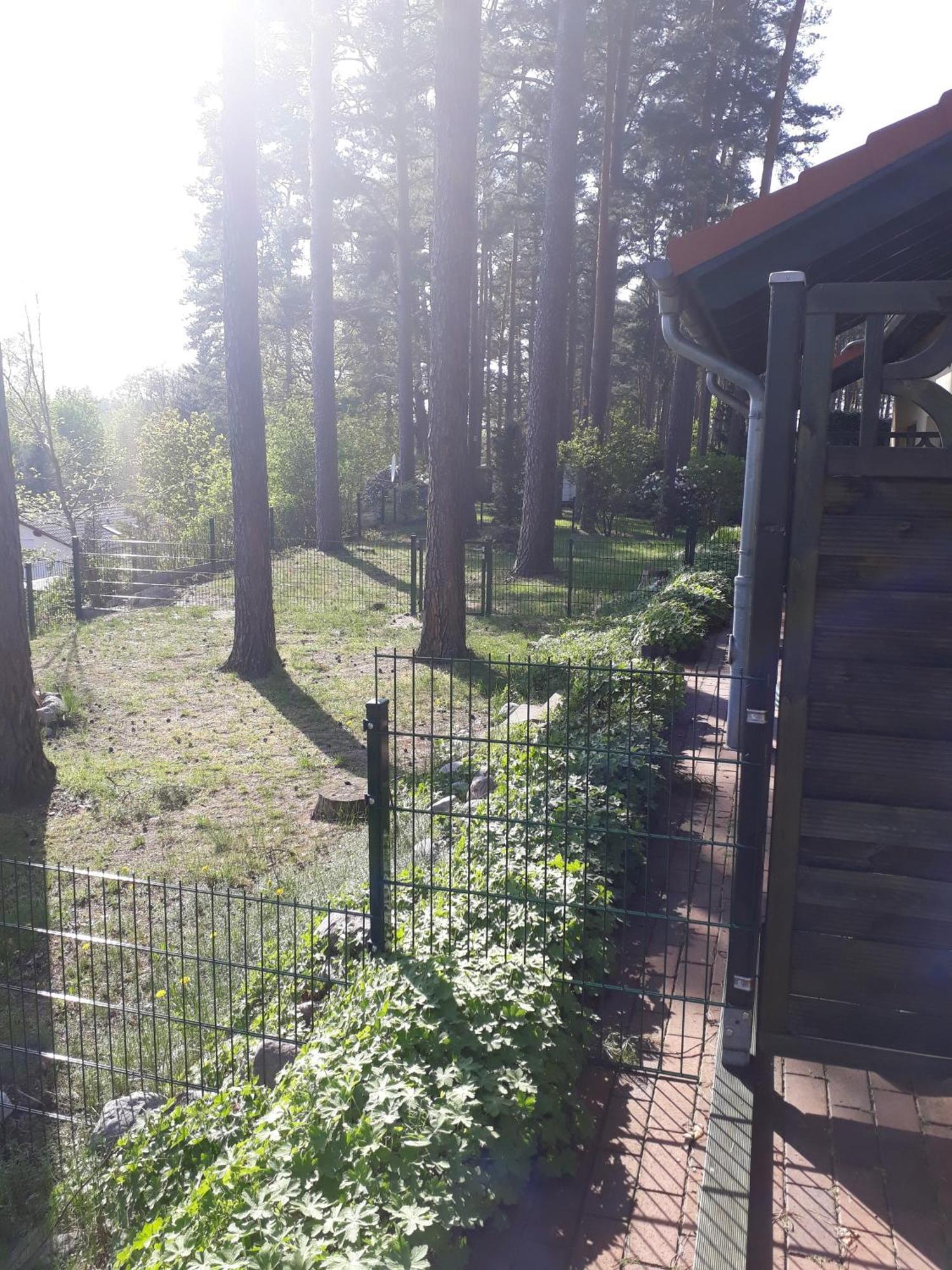 Ferienhaus Waldschneise B Am Jabeler See מראה חיצוני תמונה
